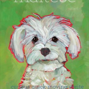 MALTESE - FRIDGE MAGNET