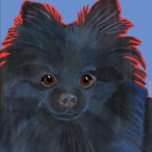 POMERANIAN - BLACK - FRIDGE MAGNET
